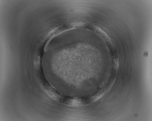 X0000095510308200712141429