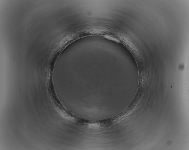 X0000095510309200712141429