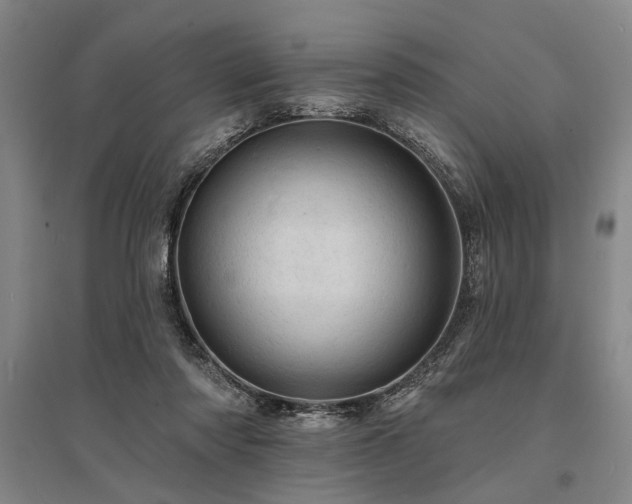 X0000095510310200712141429