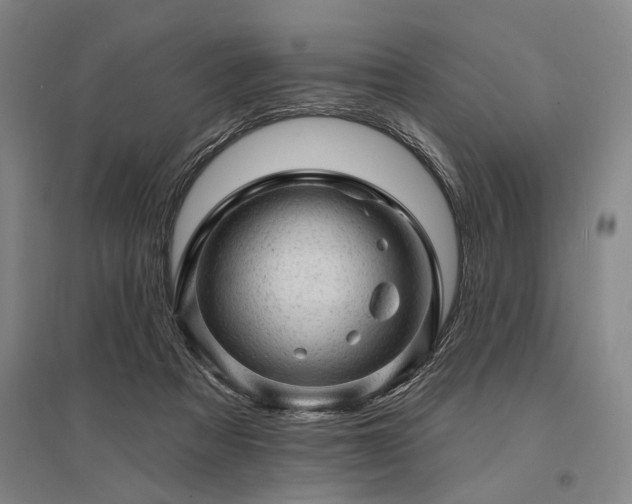 X0000095510313200712141429