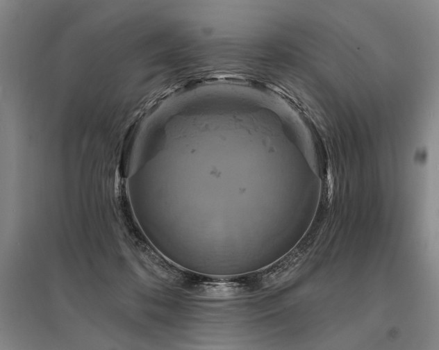 X0000095510316200712141429