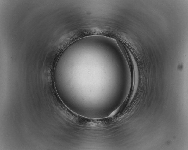 X0000095510317200712141429
