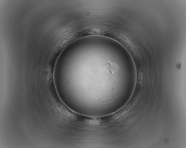 X0000095510318200712141429