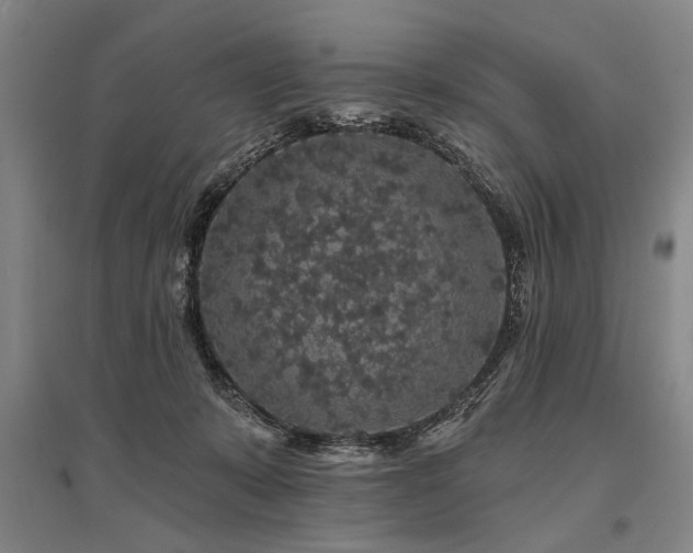 X0000095510319200712141429