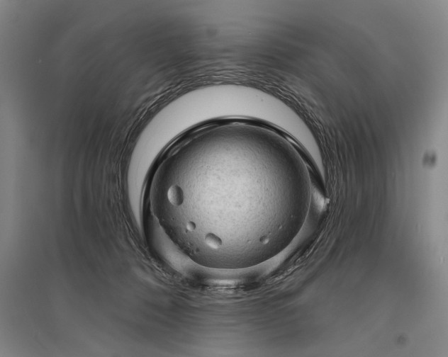 X0000095510320200712141429
