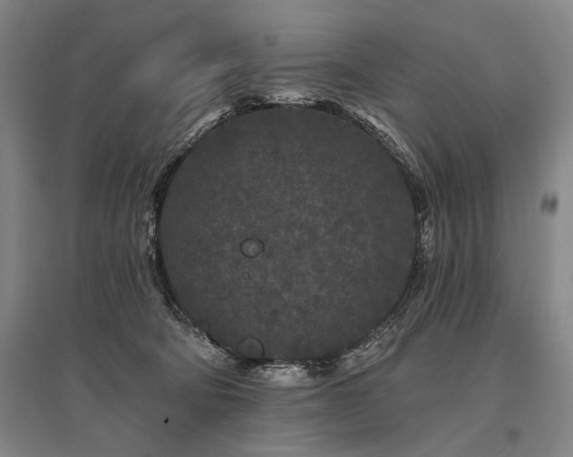 X0000095510322200712141429