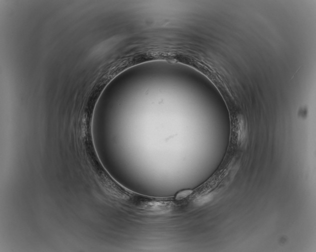X0000095510323200712141429