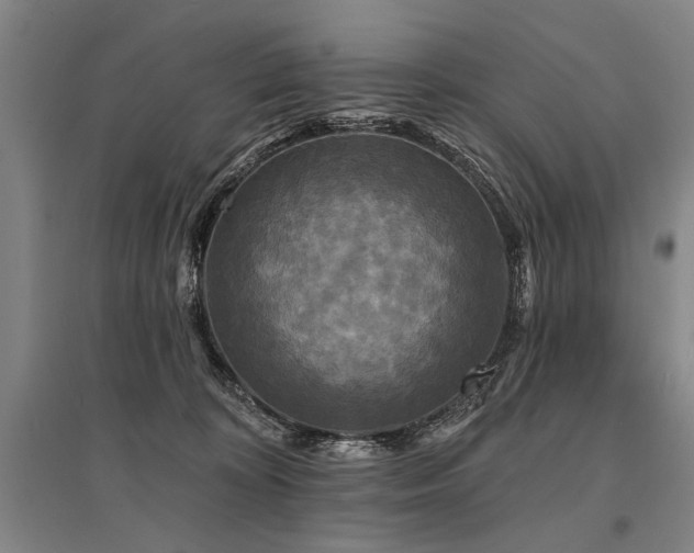 X0000095510324200712141429