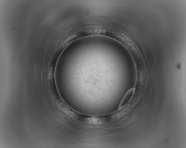 X0000095510326200712141429