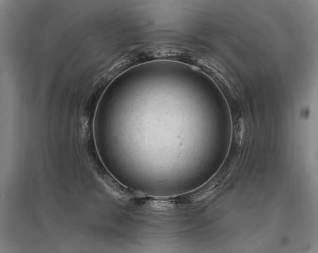 X0000095510327200712141429