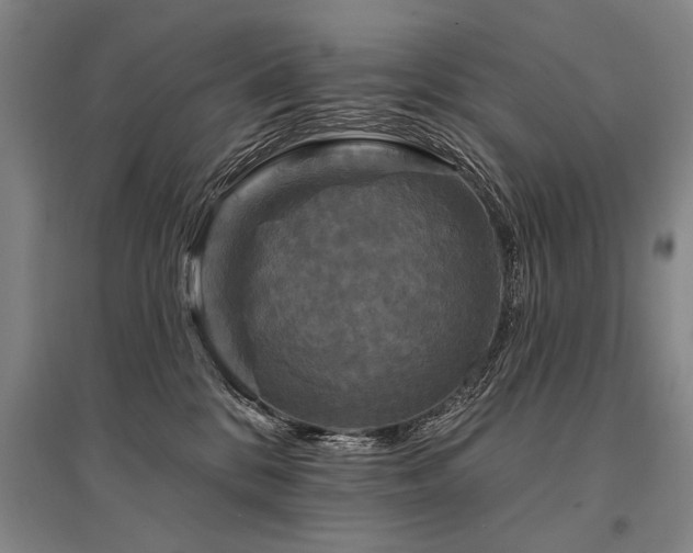 X0000095510328200712141429