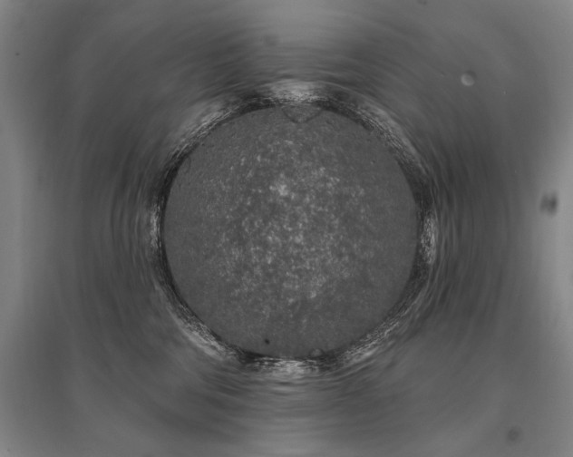 X0000095510330200712141429