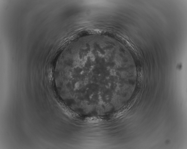 X0000095510331200712141429