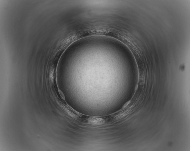 X0000095510334200712141429