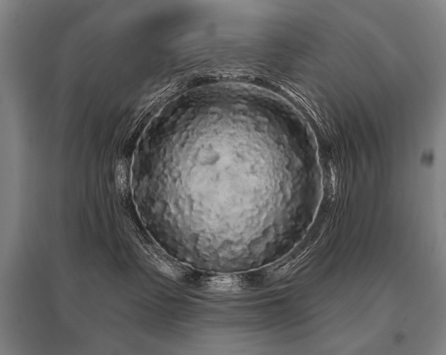 X0000095510335200712141429