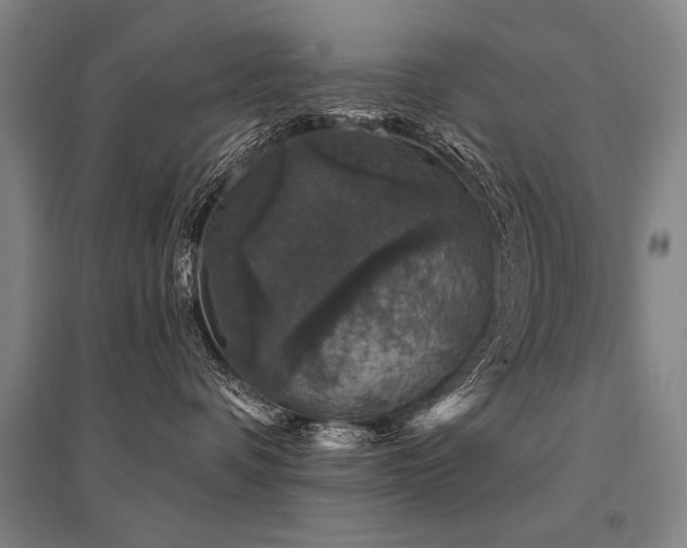 X0000095510336200712141429