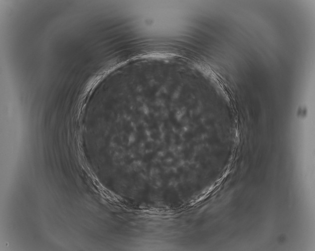 X0000095510337200712141428