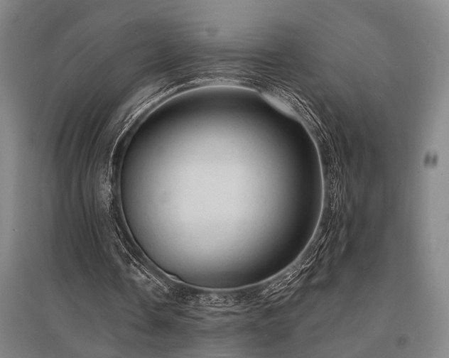 X0000095510338200712141428