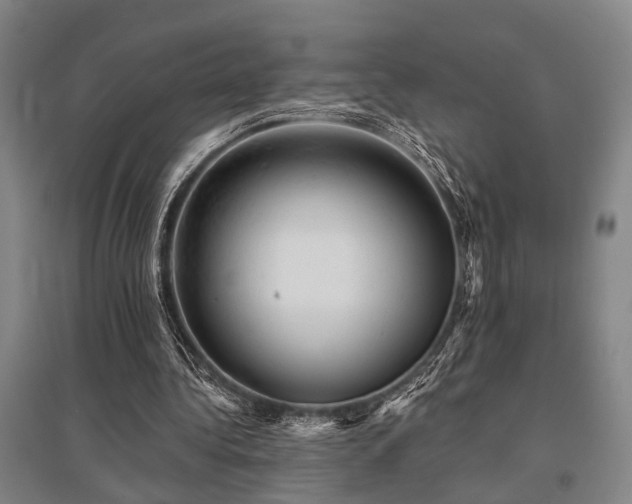 X0000095510340200712141428