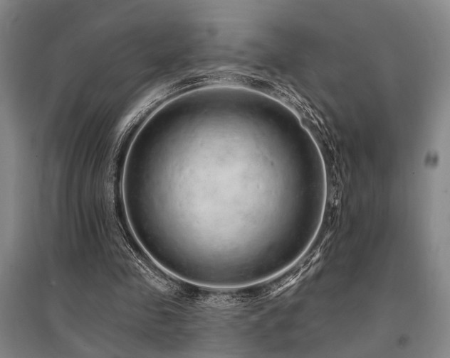 X0000095510341200712141428