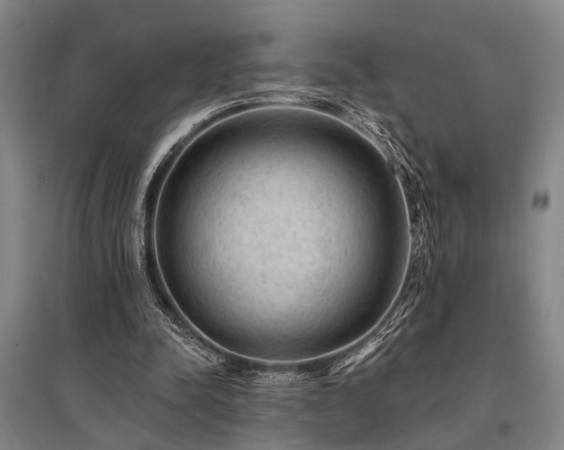X0000095510342200712141428