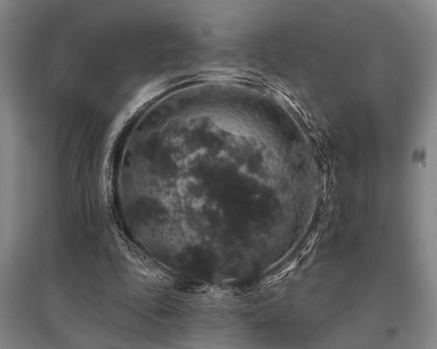 X0000095510343200712141428