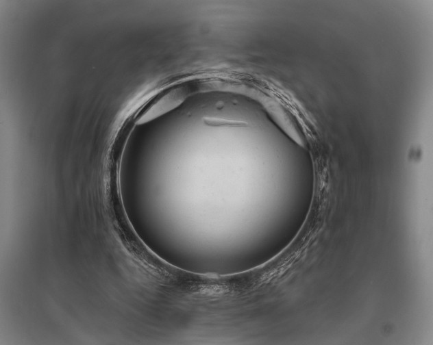 X0000095510344200712141428