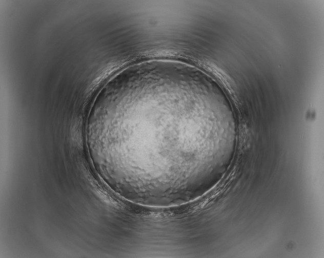 X0000095510345200712141428