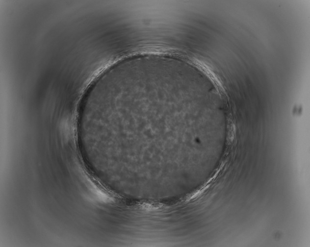 X0000095510346200712141428