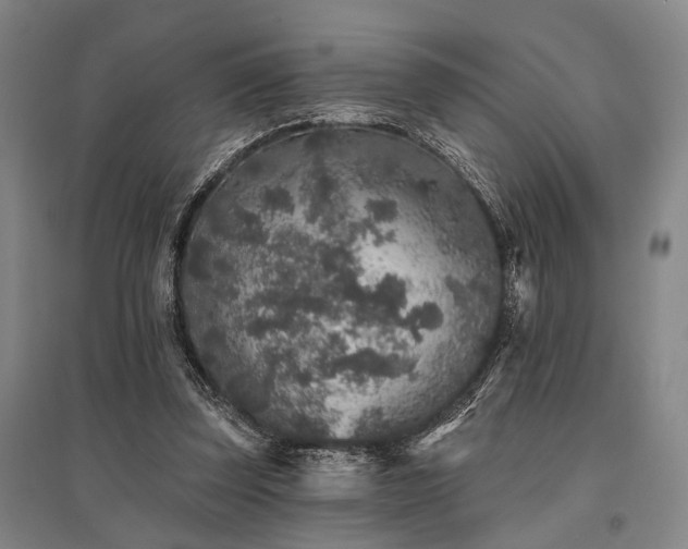 X0000095510347200712141428