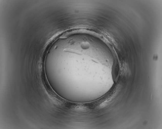 X0000095510348200712141428