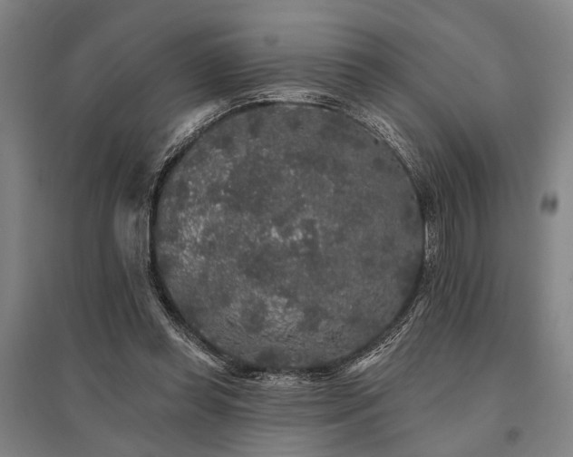X0000095510349200712141428