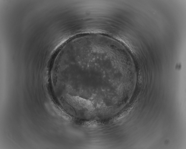 X0000095510351200712141428