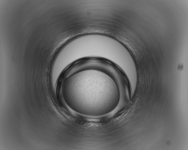 X0000095510352200712141428