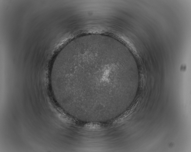 X0000095510354200712141428
