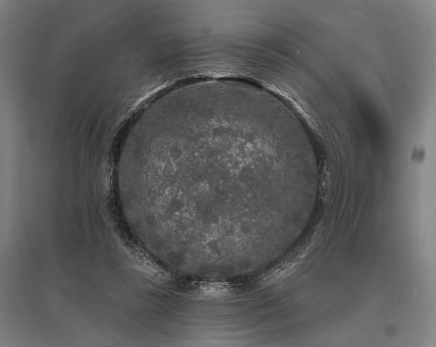 X0000095510355200712141429