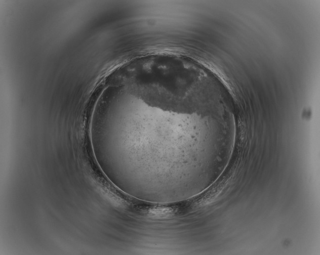 X0000095510357200712141429