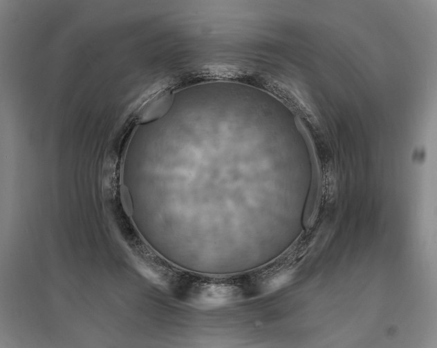 X0000095510360200712141429