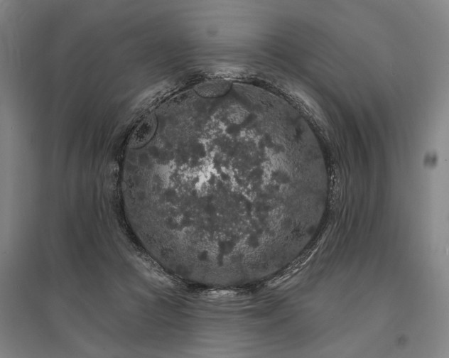 X0000095510361200712141429
