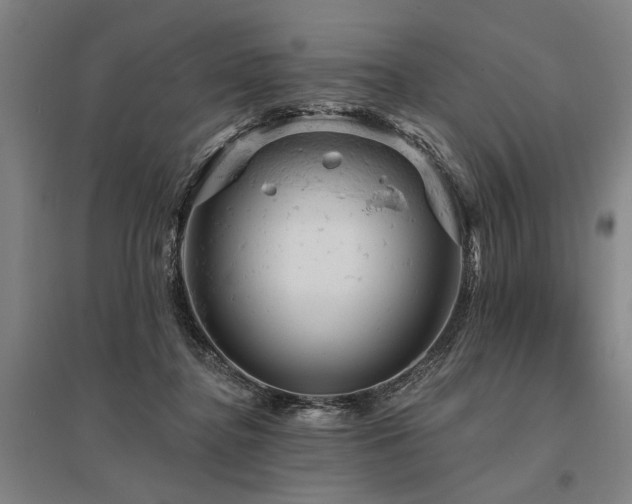 X0000095510364200712141429