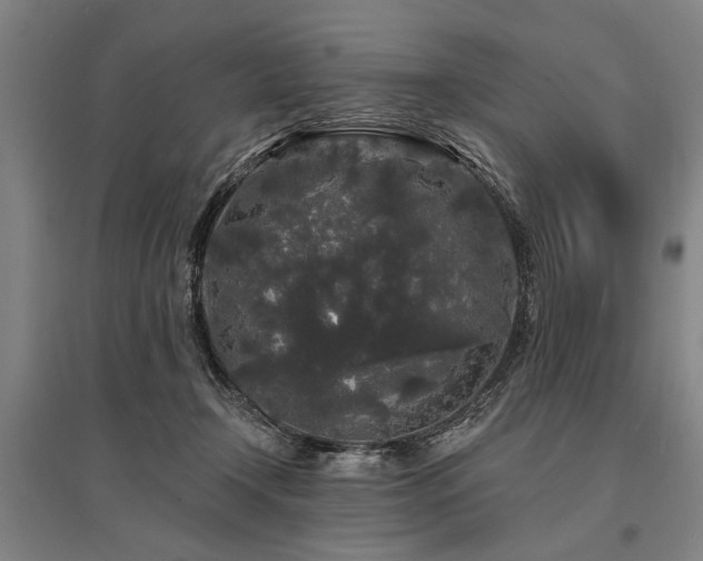 X0000095510366200712141429