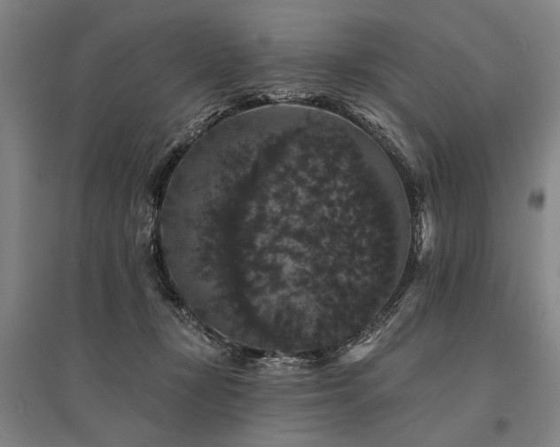 X0000095510367200712141429