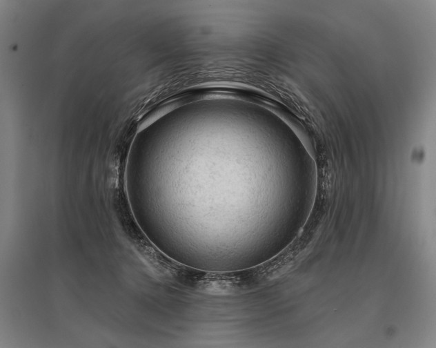 X0000095510368200712141429