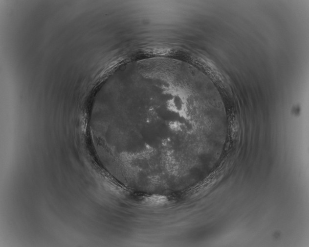 X0000095510374200712141429