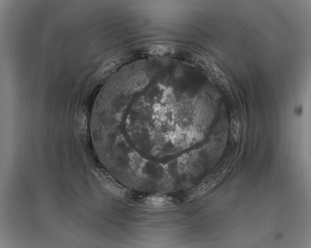 X0000095510375200712141429