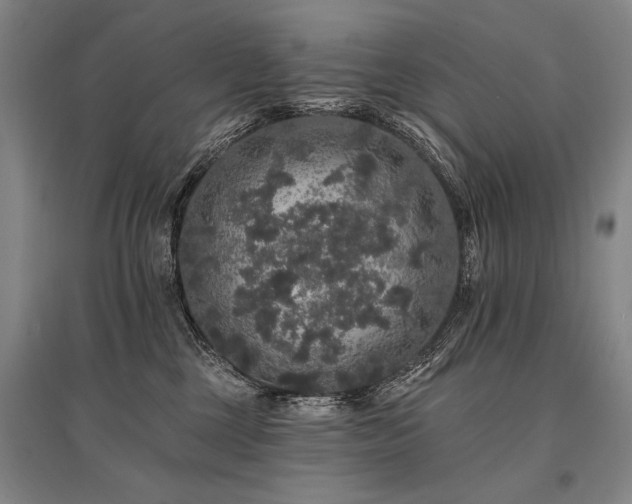 X0000095510377200712141429