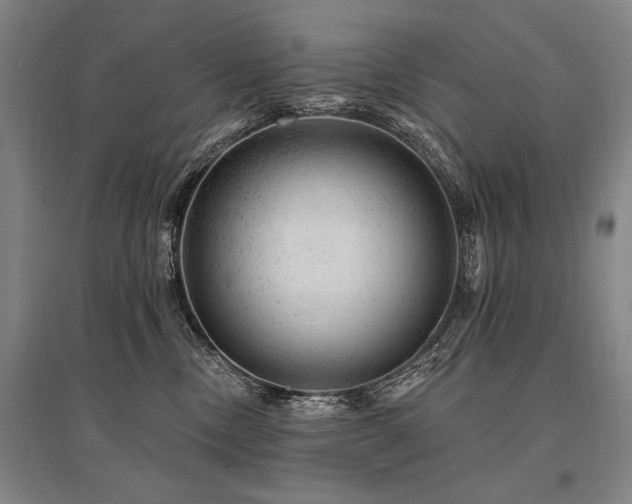 X0000095510378200712141429