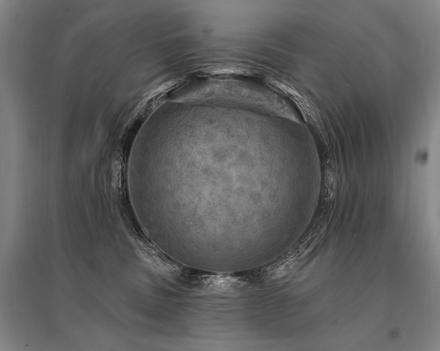 X0000095510379200712141429