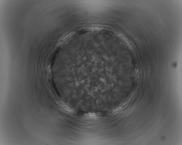 X0000095510381200712141429