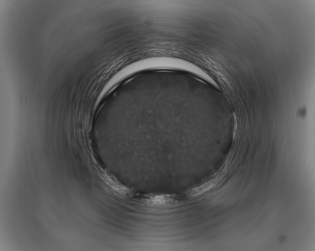 X0000095510382200712141429